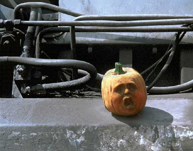 punkin