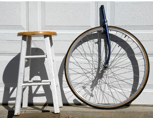 stool study